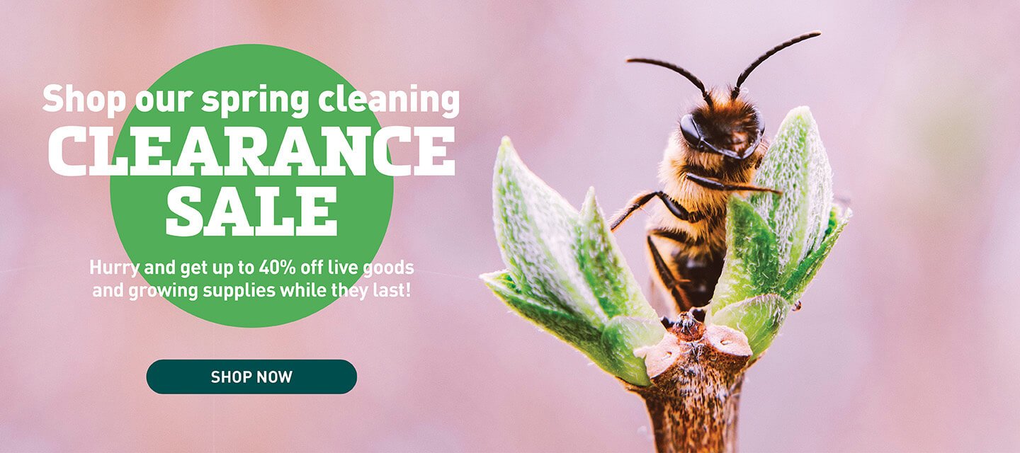 Spring Clearance Sale